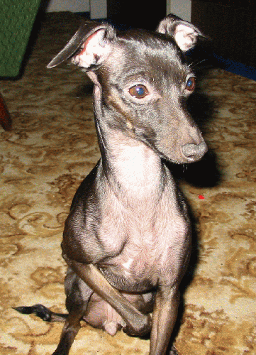 Klikni pre n�vrat do fotogal�rie.