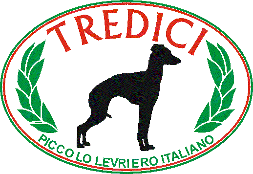 TREDICI LOGO.gif (21995 bytes)